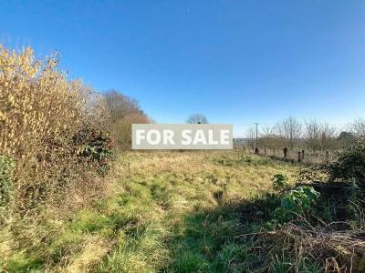 Habitable Country House with More Potential