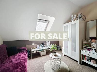 Contemporary Detached House