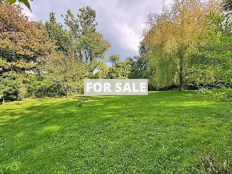 Detached Country House with Bundles of Character