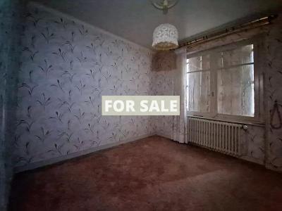 Detached House with Garden