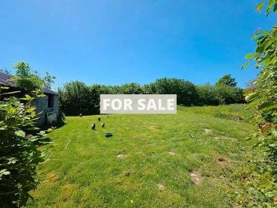 Superb House in Over One Hectare of Land