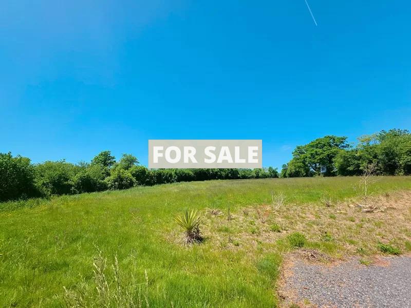 Superb House in Over One Hectare of Land