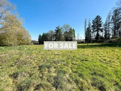 Beautiful Property with Flexible Accommodation
