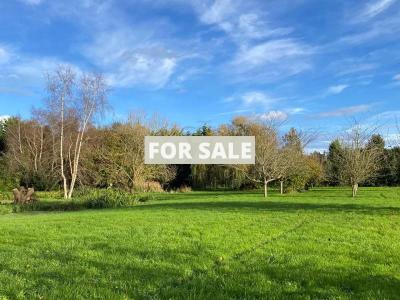Large House with Pond and Land by the Coast