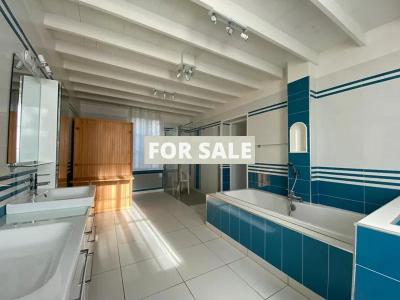 Large House with Pond and Land by the Coast