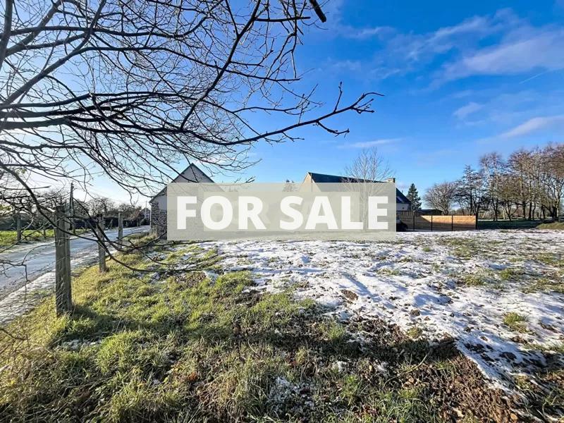 Traditional House with Garden