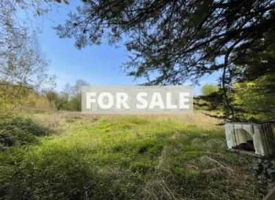 Detached House with Landscaped Garden