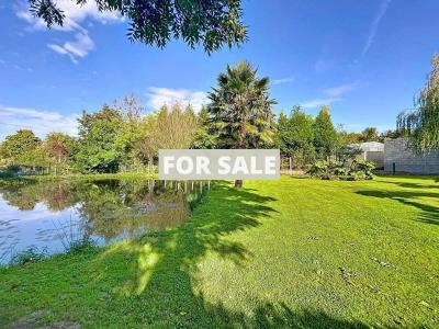 Property For Sale