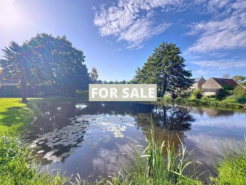 Property For Sale