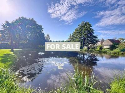 Property For Sale
