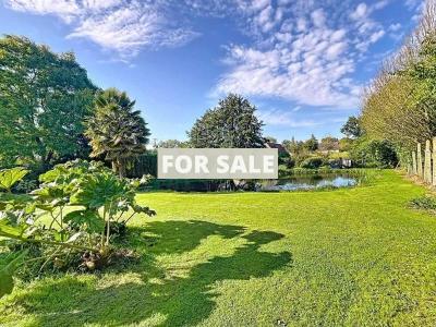 Property For Sale