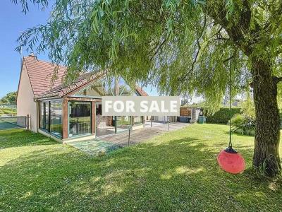 Property For Sale