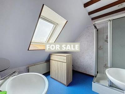 Detached Country House with Outbuilding