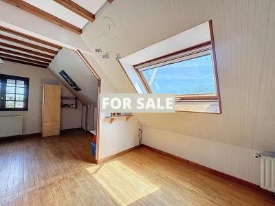 Detached Country House with Outbuilding