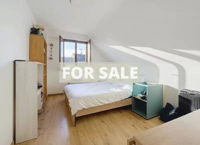 Detached House with Garden