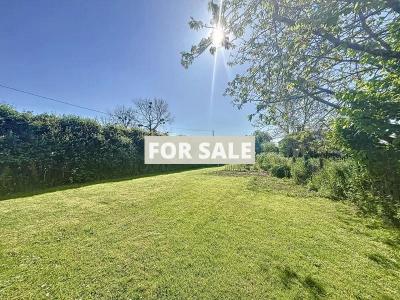 Detached House with Garden