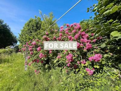 Property For Sale