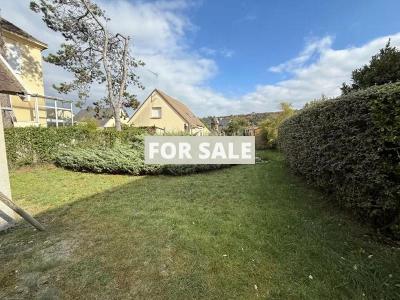 Unique Property with Amazing Potential