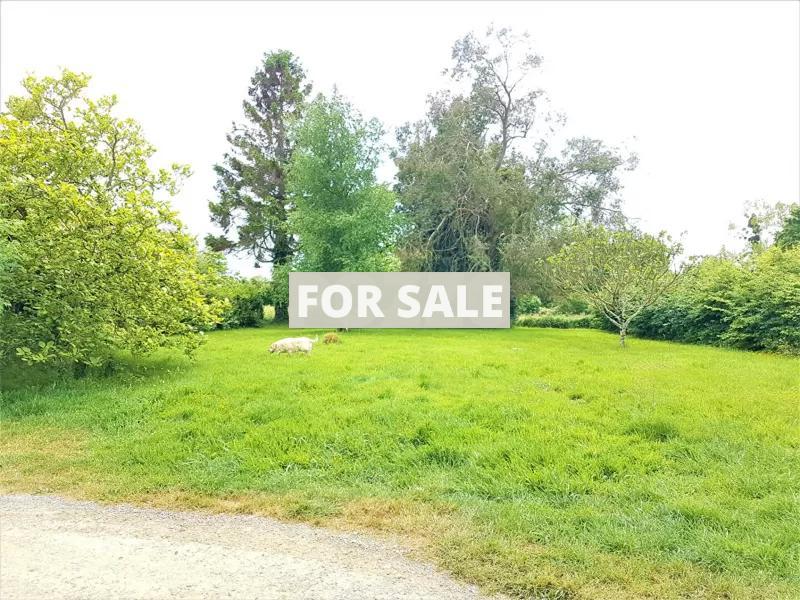 Detached Country House with Open Views