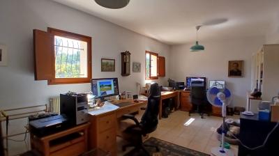 Detached Villa With Swimming Pool