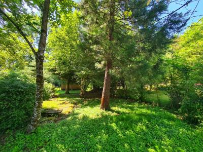 Beautiful Character Stone House With Possibility For Guest Gites