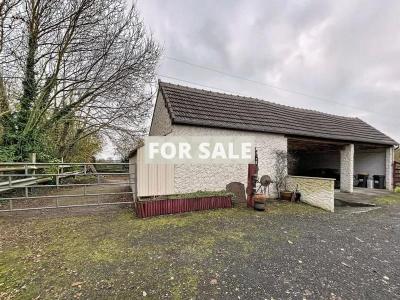 Detached House with Garden in Lovely Location