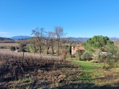 Unique Property Estate With Huge Potential