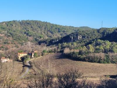 Unique Property Estate With Huge Potential