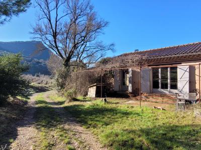 Unique Property Estate With Huge Potential