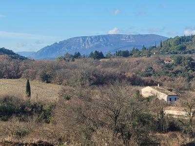 Unique Property Estate With Huge Potential