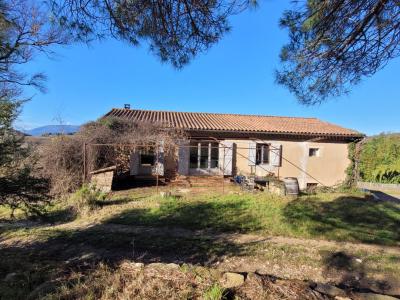 Unique Property Estate With Huge Potential