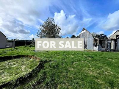 Full Renovation Project with Lovely Grounds