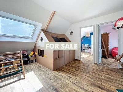 Detached Contemporary House with Garden