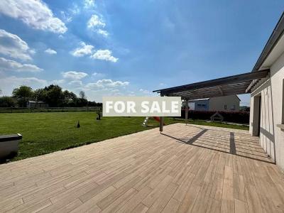 Detached Contemporary House with Garden