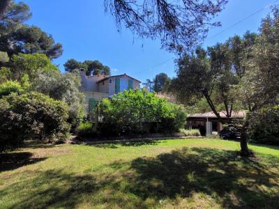 Charming Villa Nestling In A Pine Forest