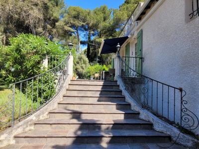 Charming Villa Nestling In A Pine Forest