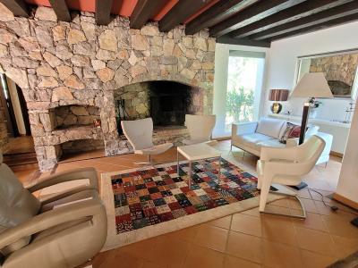 Charming Villa Nestling In A Pine Forest
