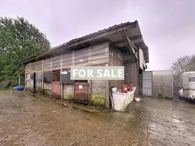 Equestrian Property with Multiple Outbuildings