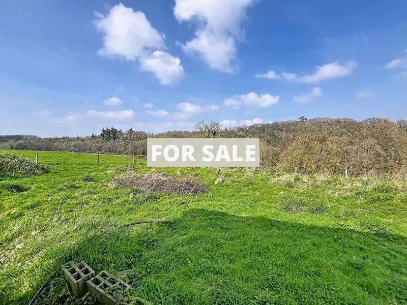 Detached Country House with Open Views