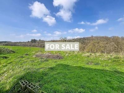 Detached Country House with Open Views