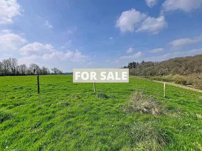 Detached Country House with Open Views