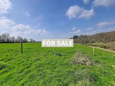 Detached Country House with Open Views