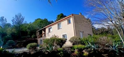 Charming Villa includes Main House and Guest Gite