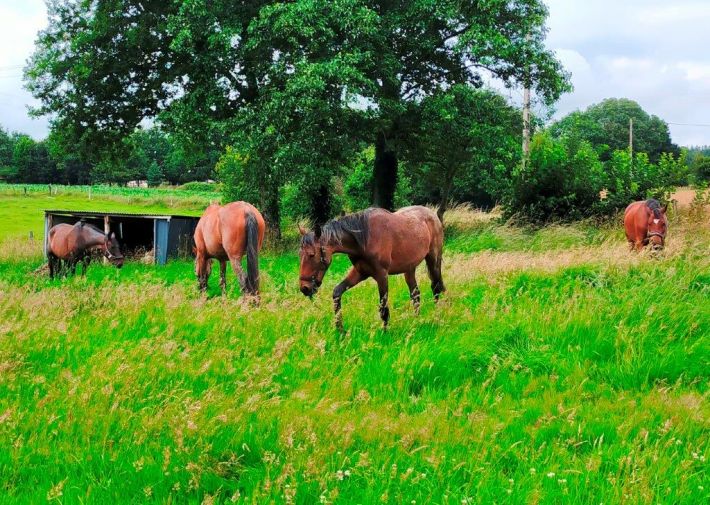 Main House with Guest Gite and Lake