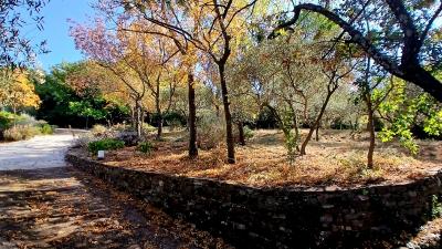 Detached House With Garage and Lovely Open View