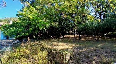 Detached House With Garage and Lovely Open View