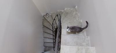 Character House with Roof Terrace