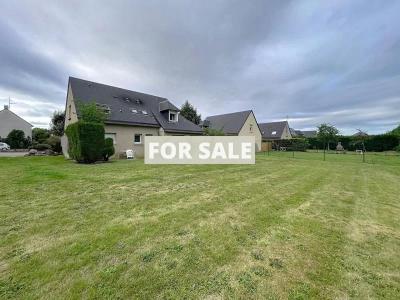 Detached House with Garden