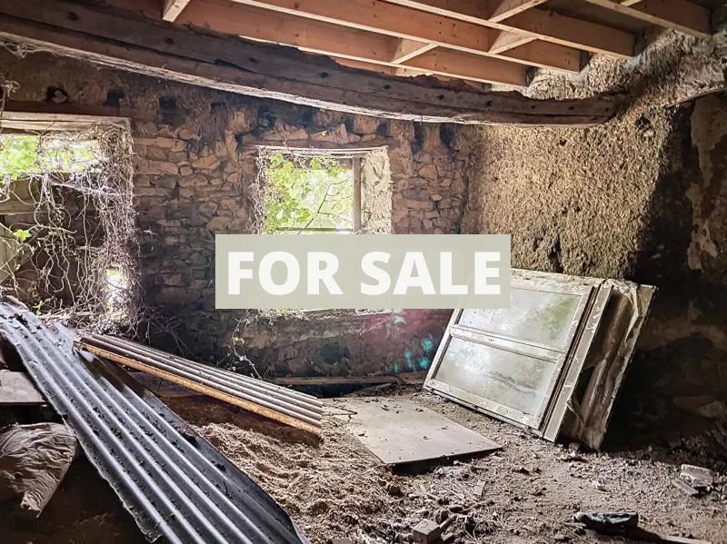 Barn to Restore, Great Blank Canvass Project