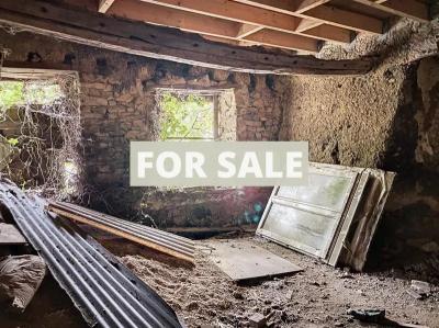 Barn to Restore, Great Blank Canvass Project